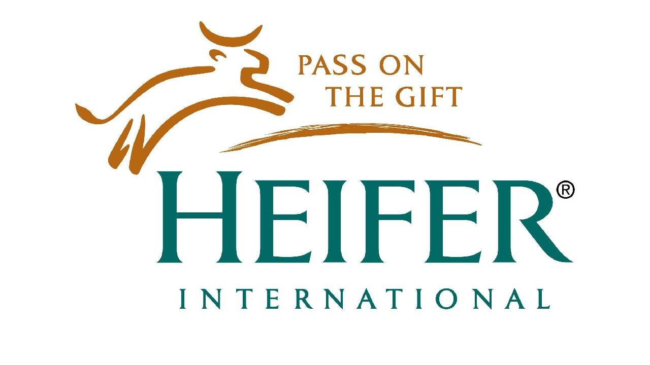 Heifer Recruitment ( Feb 2024) Open Jobs/Vacancies at Heifer