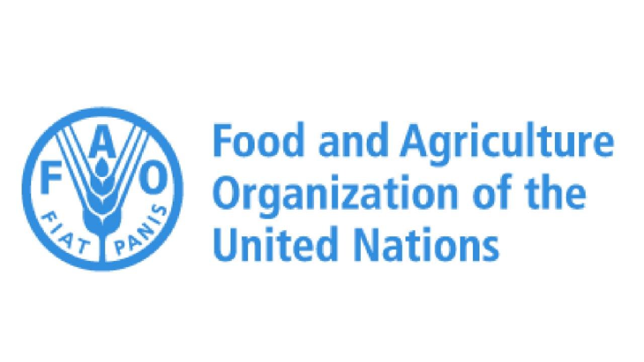 FAO Careers ,September 2025 : 11 Remote Roles Open