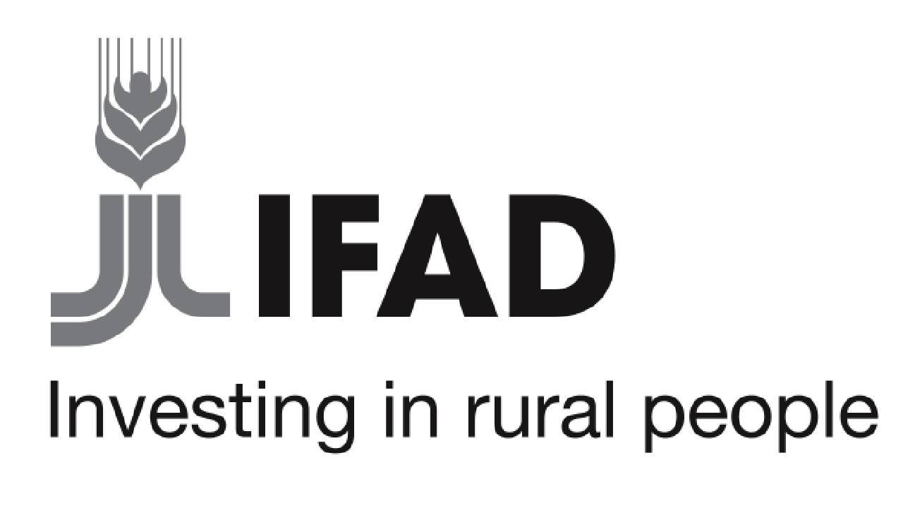 IFAD is Hiring : Explore Open Jobs & Apply – Join the UN’s Fight Against Rural Poverty
