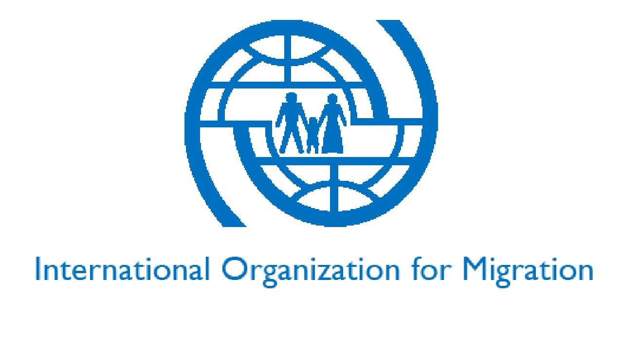 IOM Global Consultancy Opportunities , September 2025 _ 31 Open Consultancies_Online application IOM Global Consultancy Opportunities , September 2025 : 31 Open Consultancies/Online application