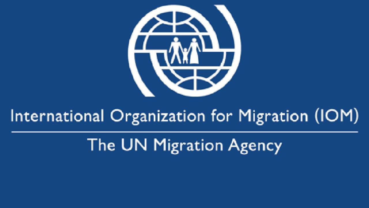Join the International Organization for Migration ( IOM) – 150+ Vacancies Open for Passionate Professionals