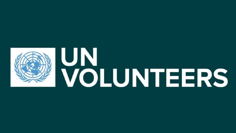 International UN Youth Volunteers : Open Roles/Online Application