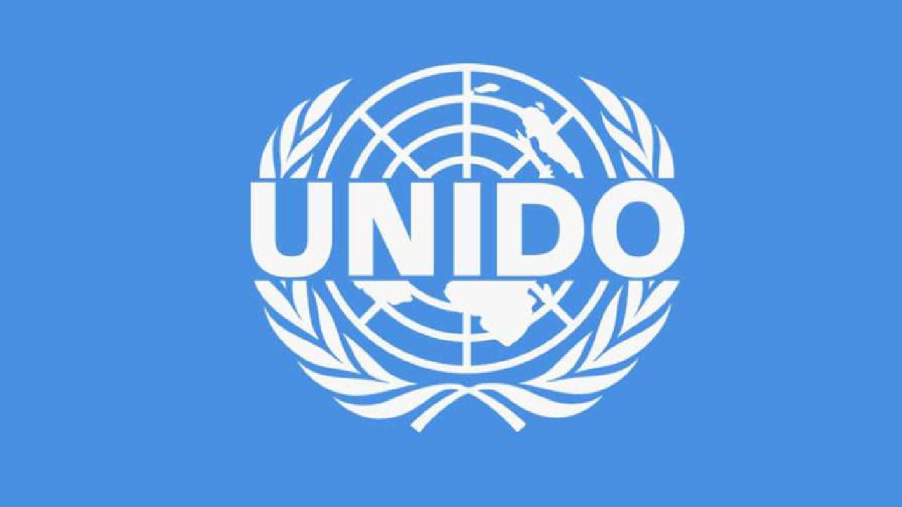UNIDO Paid Internship Opportunities 2025 – Apply by 29 September