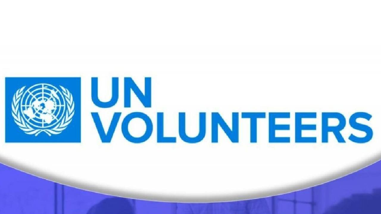United Nations Volunteer Programme, September 2025 : Open Roles/ Application portal app.unv.org