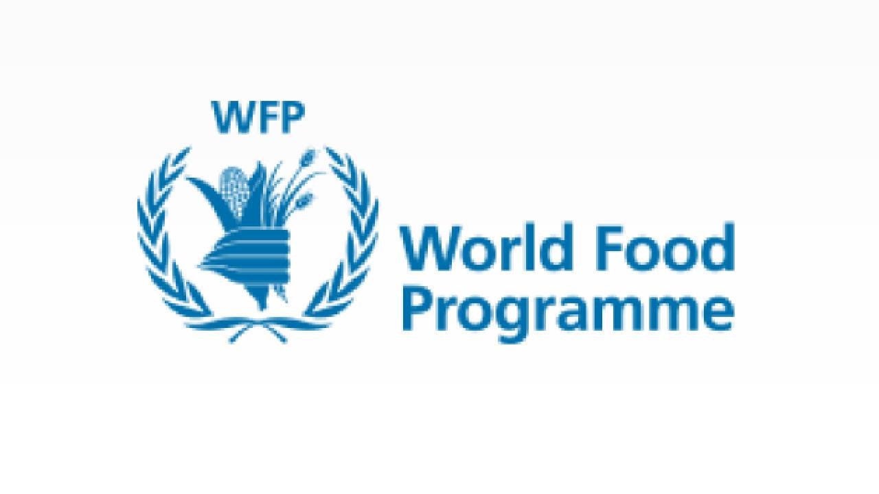 WFP Global Consultancy Opportunities , Sept 2025 : Explore 13 Roles across Logistics, HR, Procurement & More