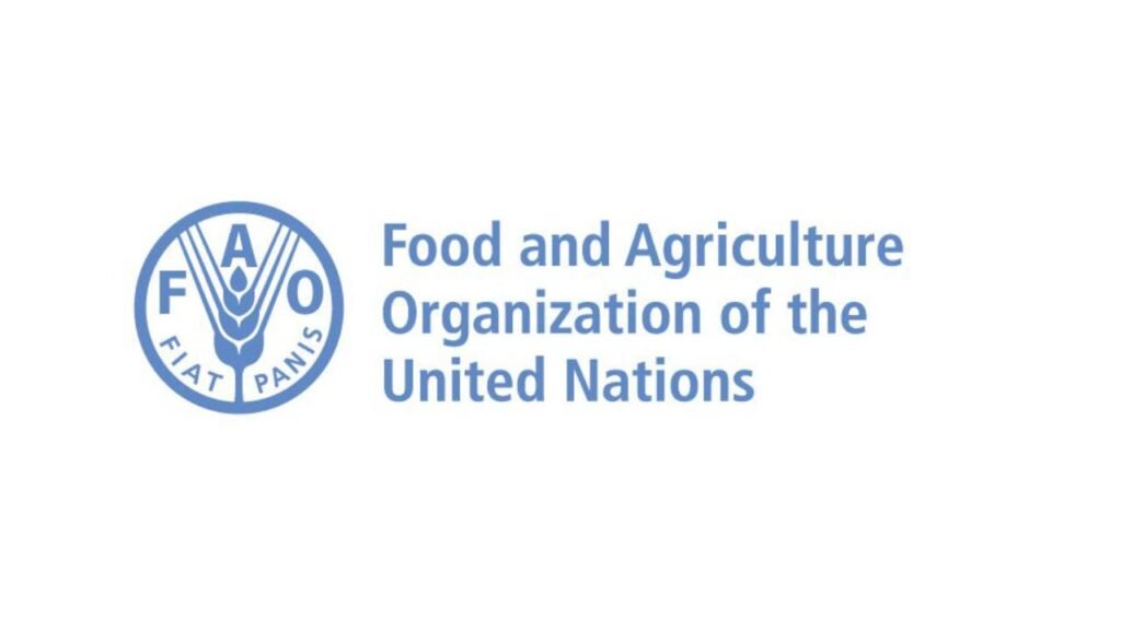 FAO internship programme