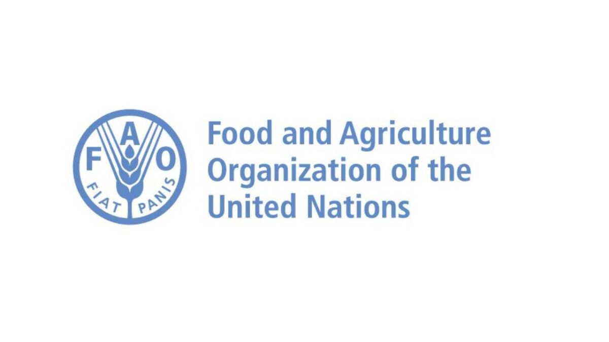 FAO Internship Programme for the World Food Forum (WFF) – Call for Expression of Interest