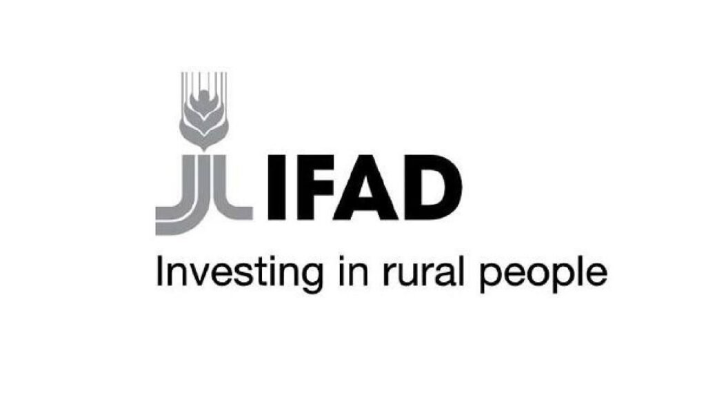 IFAD Paid Internship programme 2025