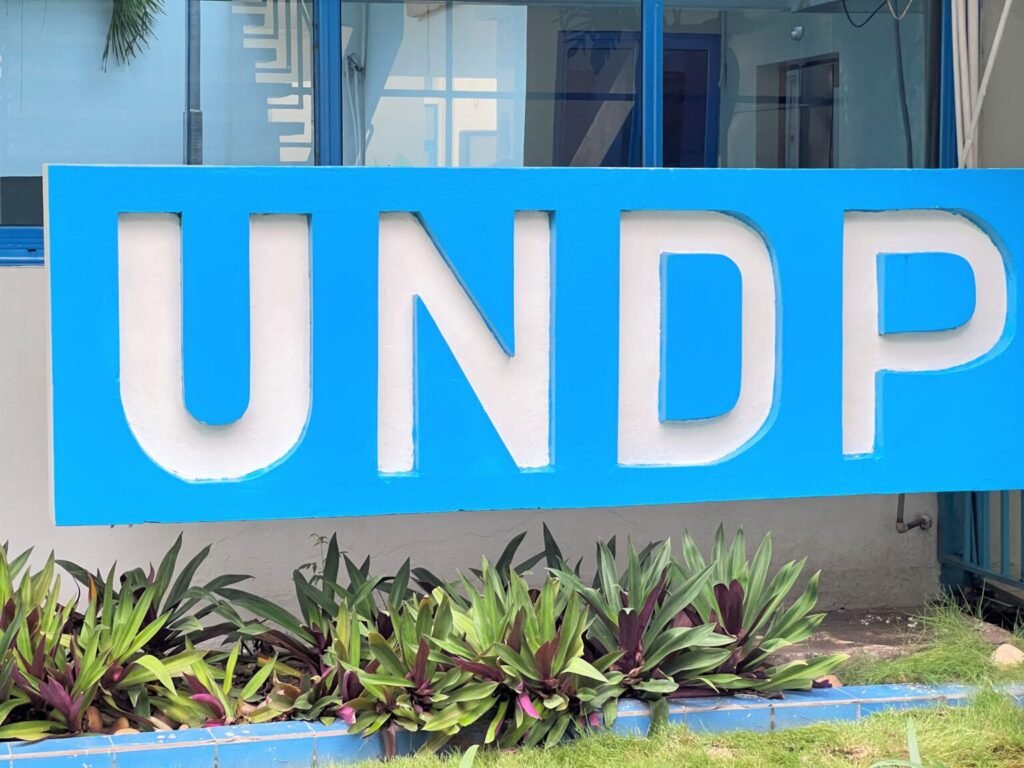Join the UNDP ( United Nations Development Programme)