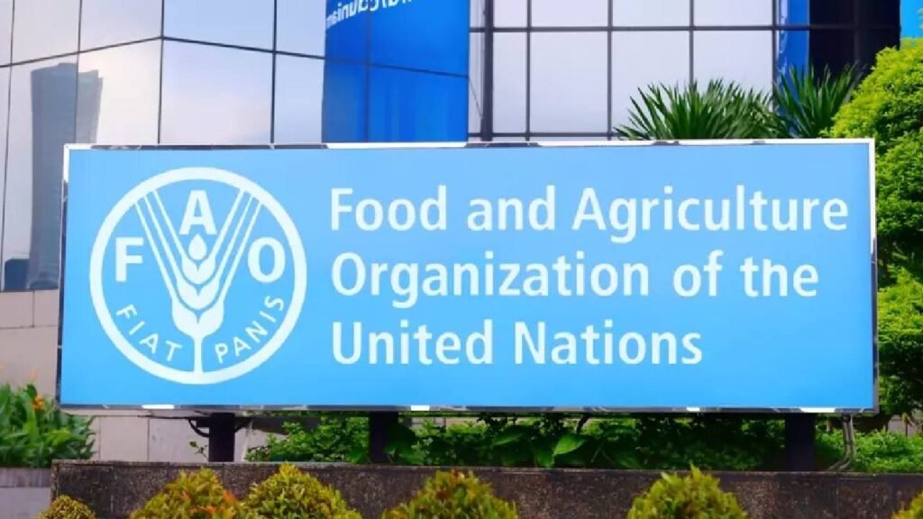Work from Home with the United Nations : FAO Remote Job Opportunities Now Open!