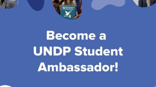 Apply for the UNDP Student Ambassador Programme in Korea Cohort 4