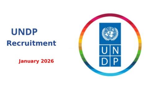 UNDP Recruitment, January 2026 : Open Jobs/Online Application