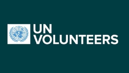 International UN Youth Volunteers : Open Roles/Online Application